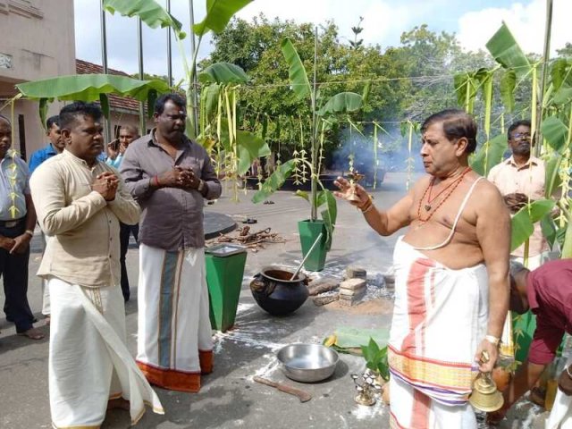 Thaipongal Festival_17.01.2023